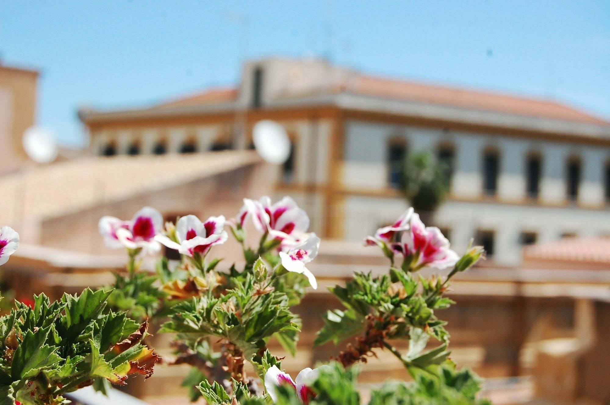 Portatenea - Atenea Collection Agrigento Dış mekan fotoğraf